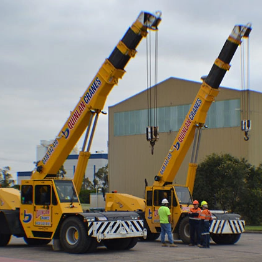 Dual Quinlan Cranes With Operators